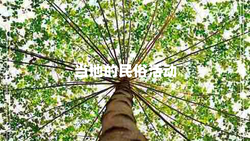 當(dāng)?shù)氐拿袼谆顒? title=