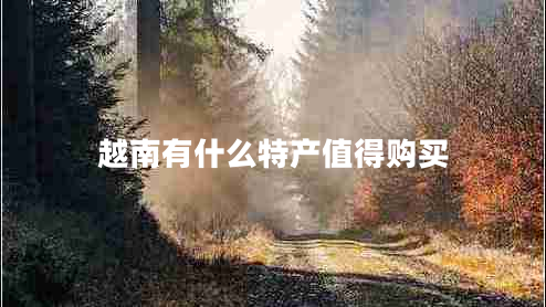 越南有什么特產(chǎn)值得購(gòu)買