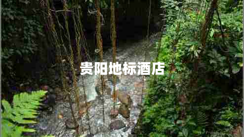 貴陽(yáng)地標酒店