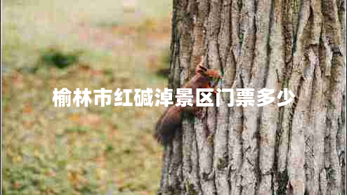榆林市紅堿淖景區(qū)門票多少