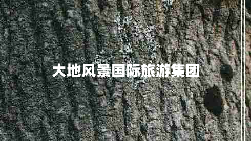 大地風景國際旅游集團