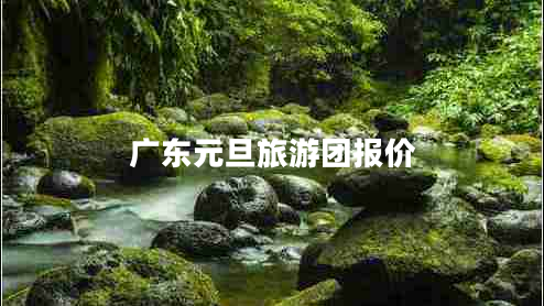廣東元旦旅游團(tuán)報(bào)價(jià)