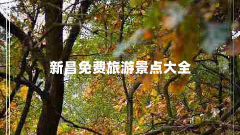 新昌免費(fèi)旅游景點(diǎn)大全