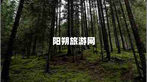 陽朔旅游網(wǎng)