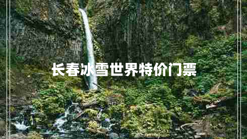 長(zhǎng)春冰雪世界特價(jià)門票