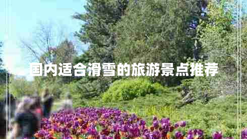 國(guó)內(nèi)適合滑雪的旅游景點(diǎn)推薦