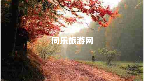 同樂(lè )旅游網(wǎng)