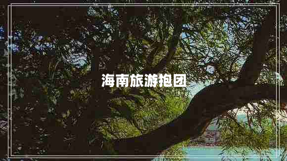 海南旅游抱團
