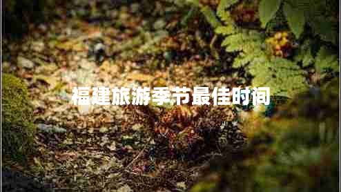 福建旅游季節(jié)最佳時間