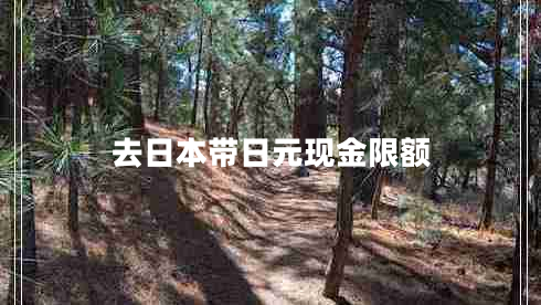 去日本帶日元現(xiàn)金限額