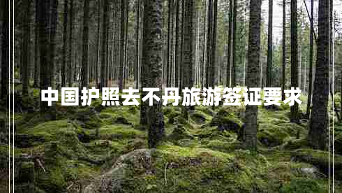 中國護(hù)照去不丹旅游簽證要求