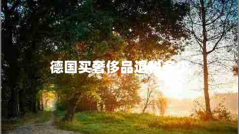 德國買(mǎi)奢侈品退稅多少