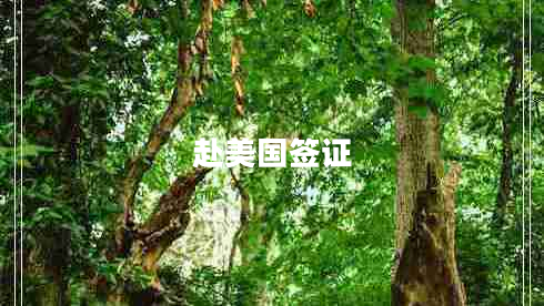 赴美國(guó)簽證