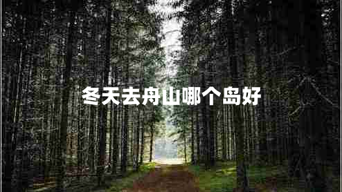 冬天去舟山哪個(gè)島好