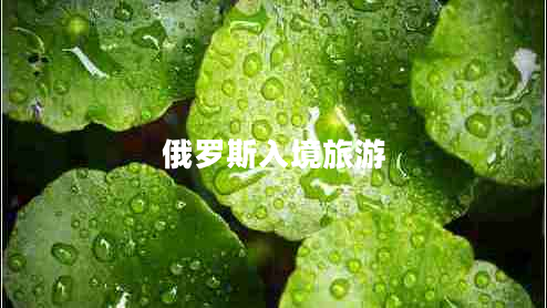 俄羅斯入境旅游