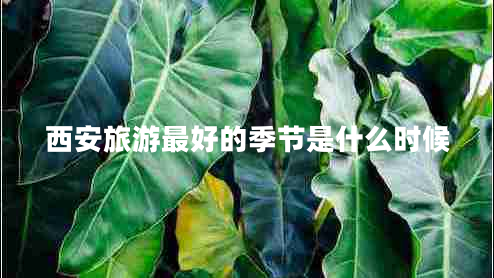 西安旅游最好的季節(jié)是什么時(shí)候