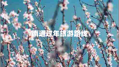 南通過(guò)年旅游路線