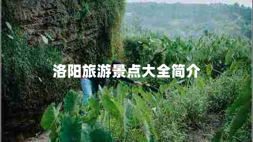洛陽旅游景點大全簡介