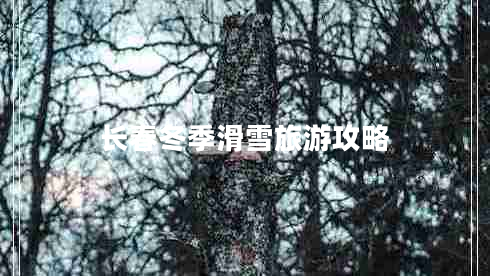 長(zhǎng)春冬季滑雪旅游攻略