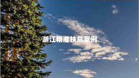 浙江精準(zhǔn)扶貧案例