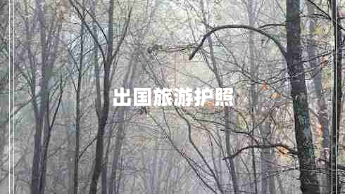 出國旅游護(hù)照