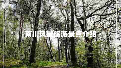 南川風景旅游景點介紹