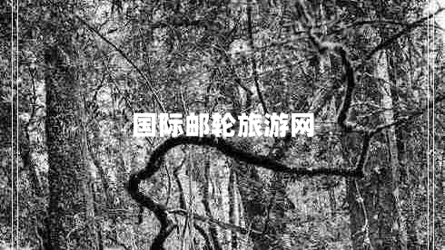 國(guó)際郵輪旅游網(wǎng)