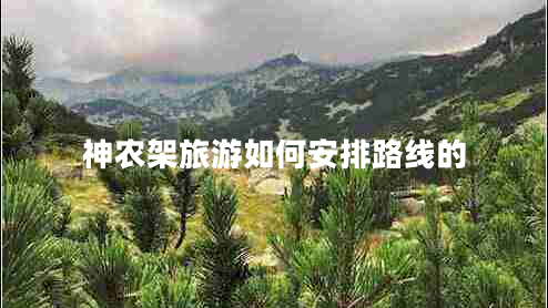 神農(nóng)架旅游如何安排路線的