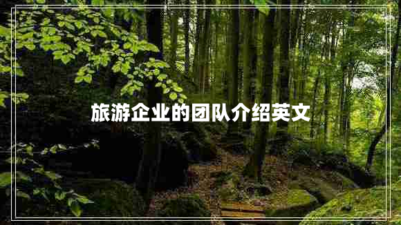 旅游企業(yè)的團隊介紹英文