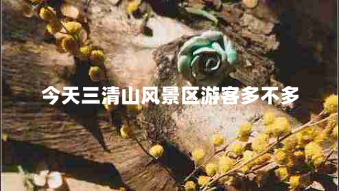 今天三清山風(fēng)景區游客多不多