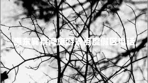 惠東巽寮灣旅游景點(diǎn)度假區(qū)電話