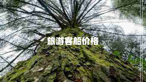 旅游客船價(jià)格