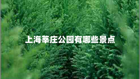 上海莘莊公園有哪些景點(diǎn)
