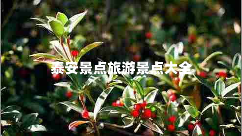 泰安景點旅游景點大全