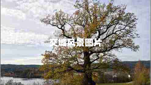 交城風(fēng)景圖片