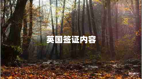 英國簽證內容