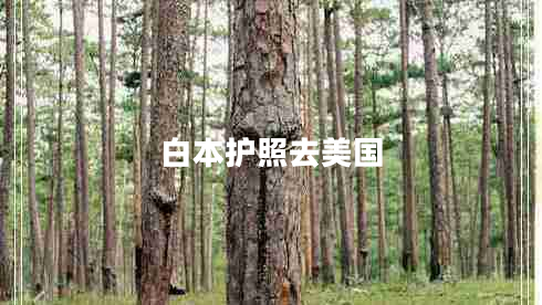 白本護照去美國