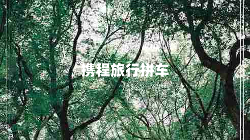 攜程旅行拼車