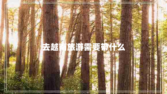 去越南旅游需要帶什么
