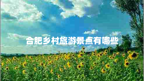合肥鄉(xiāng)村旅游景點(diǎn)有哪些