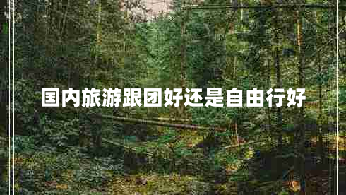 國內(nèi)旅游跟團(tuán)好還是自由行好
