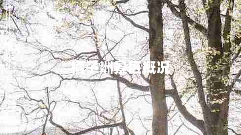 橘子洲景區概況