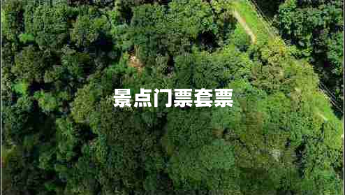 景點(diǎn)門(mén)票套票