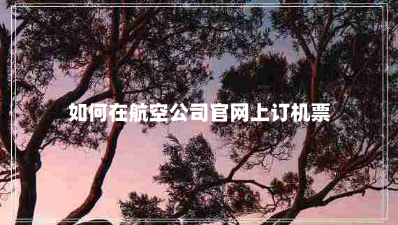 如何在航空公司官網(wǎng)上訂機票