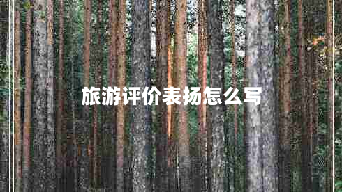 旅游評價(jià)表揚(yáng)怎么寫