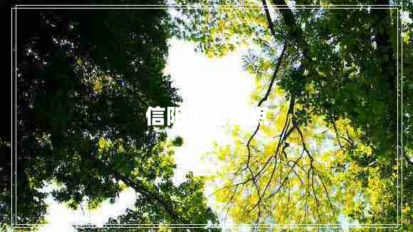 信陽(yáng)靈山景點(diǎn)