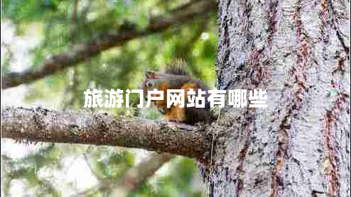 旅游門(mén)戶(hù)網(wǎng)站有哪些