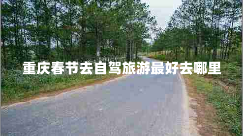 重慶春節去自駕旅游最好去哪里