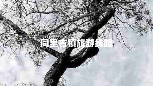 同里古鎮(zhèn)旅游線路