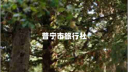 普寧市旅行社